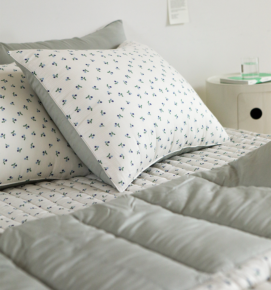 ¼ÒÇÁÆ® ¸ð´Þ »ç°èÀý Â÷·ÆÀ̺Ò