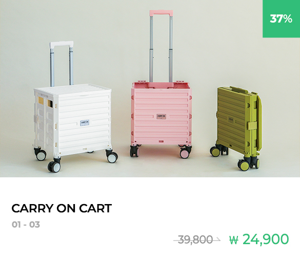 CARRY ON CART