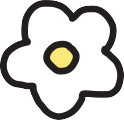 ū