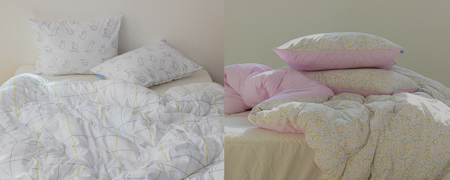 �����̹���