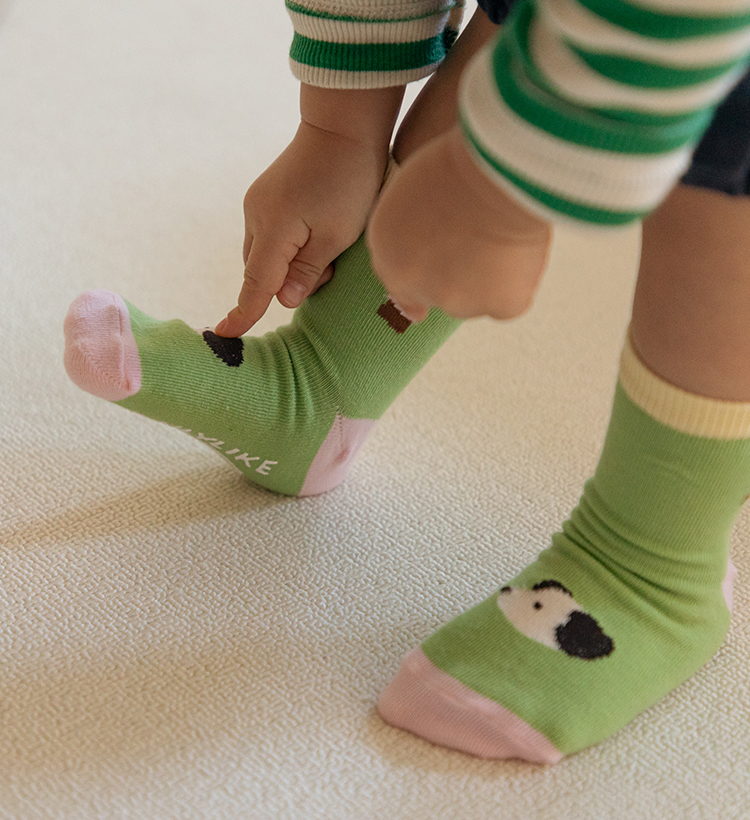 �ִϸ�Ű��轺