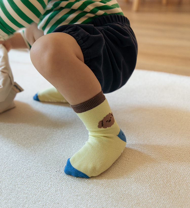 �ִϸ�Ű��轺